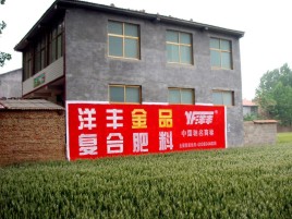 石台如何让墙体广告展现最大化效果