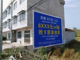 石台墙体广告质量分析