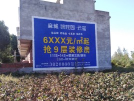 石台品牌公司青睐的墙体广告